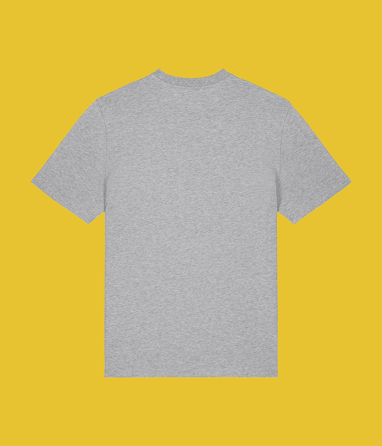 Alter Echo, Grey T-shirt