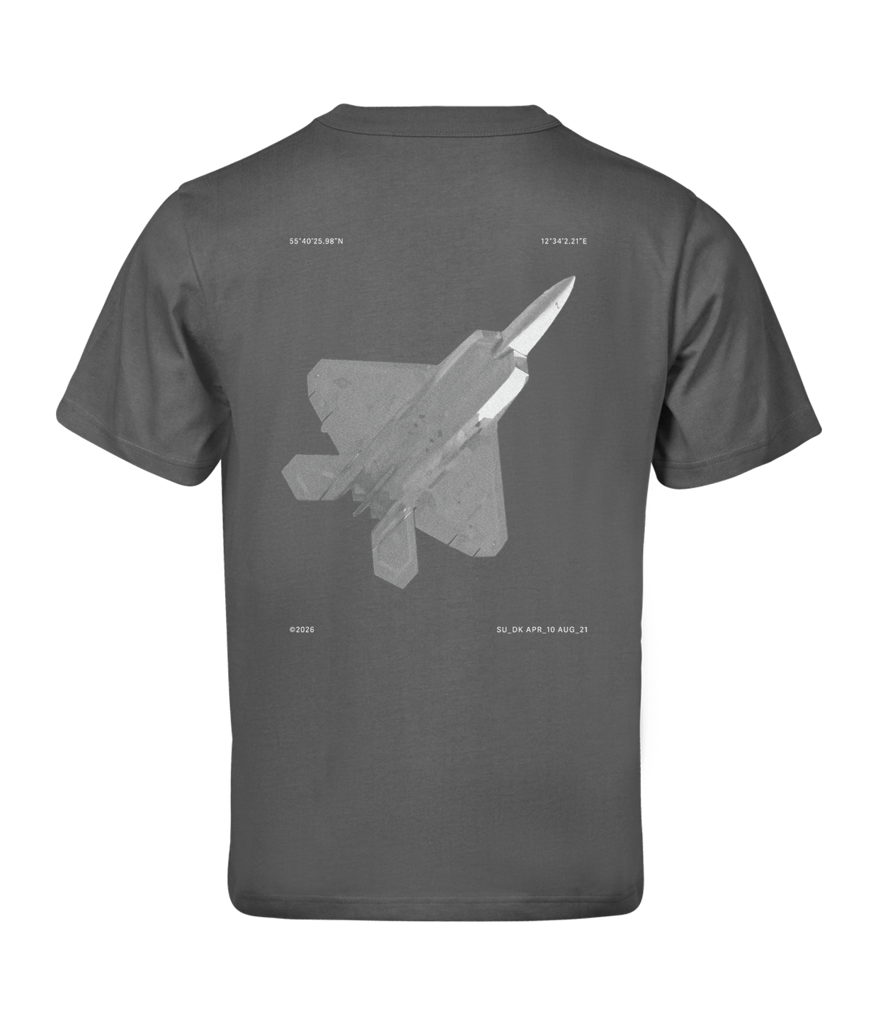 F22 (Limited Edition) Grå T-Shirt