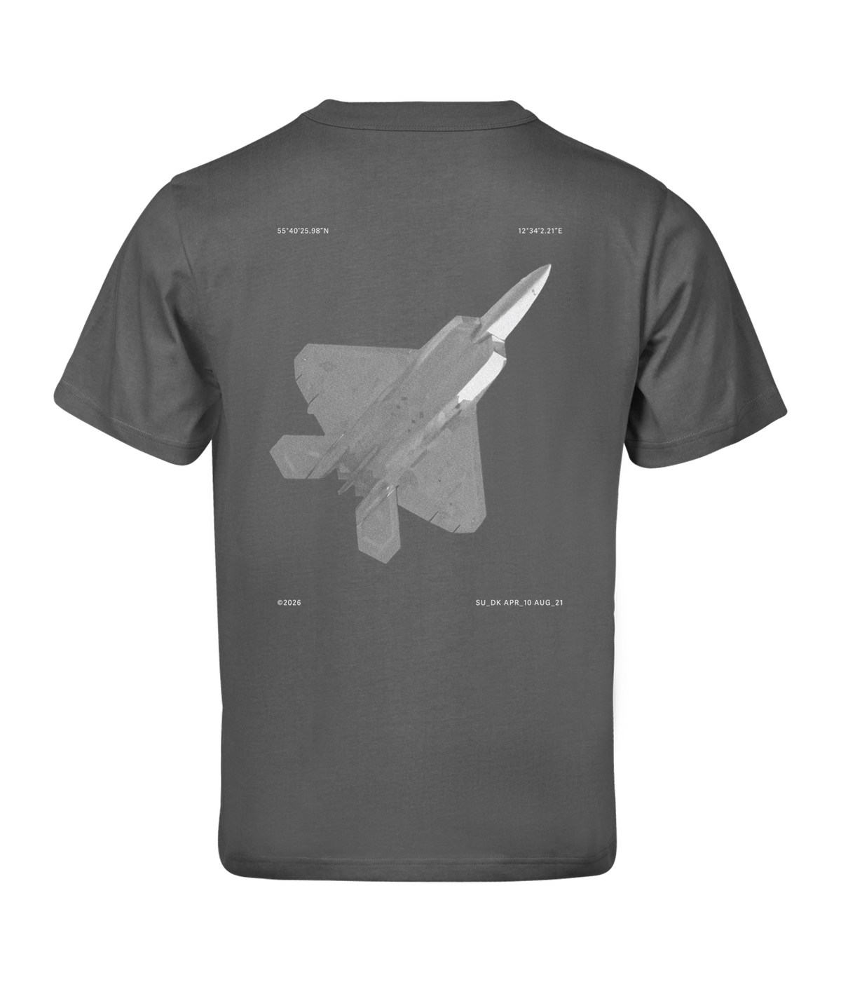F22 (Limited Edition) Grå T-Shirt