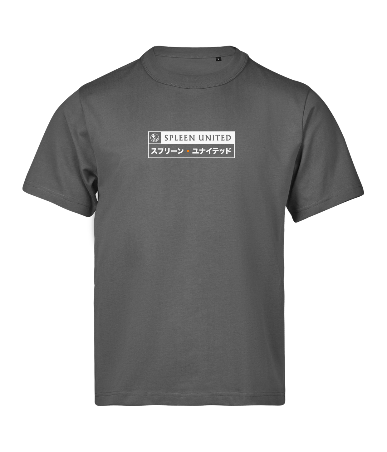 F22 (Limited Edition) Grå T-Shirt