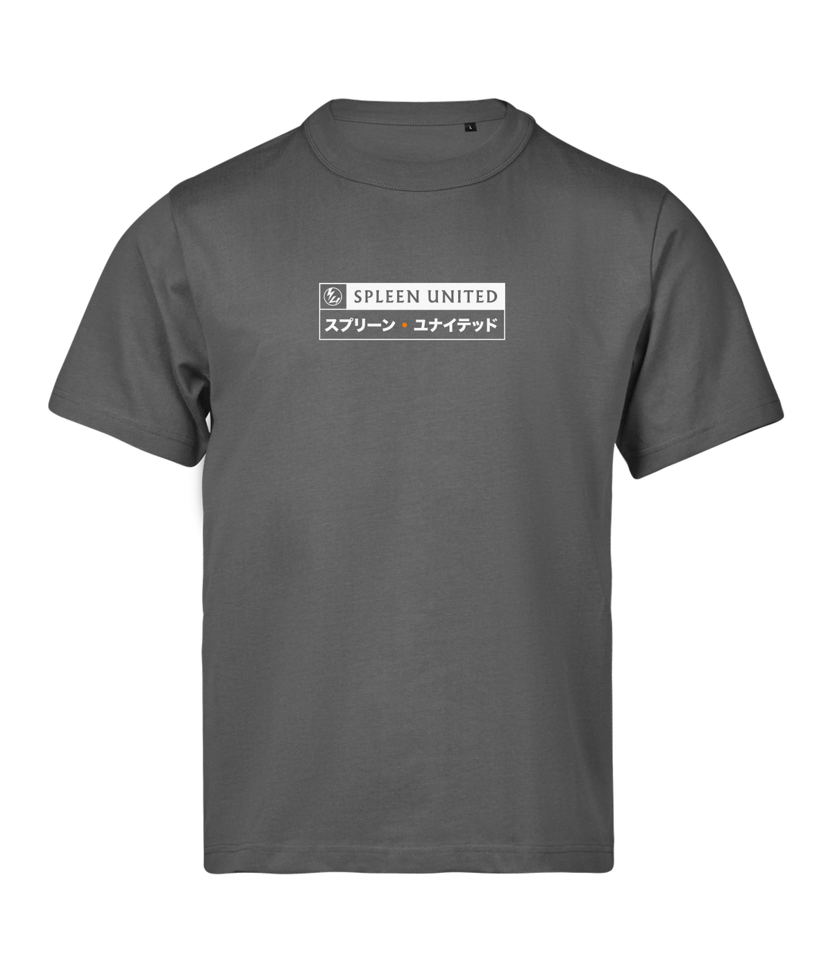 F22 (Limited Edition) Grå T-Shirt