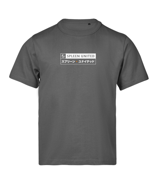 F22 (Limited Edition) Grå T-Shirt