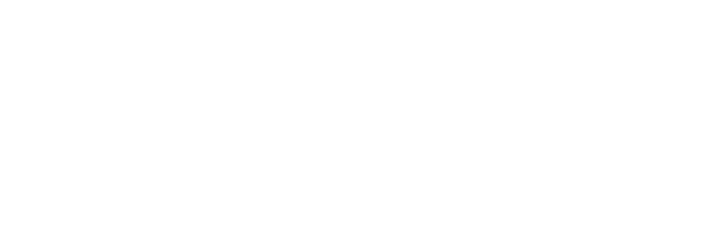 Vig Festival