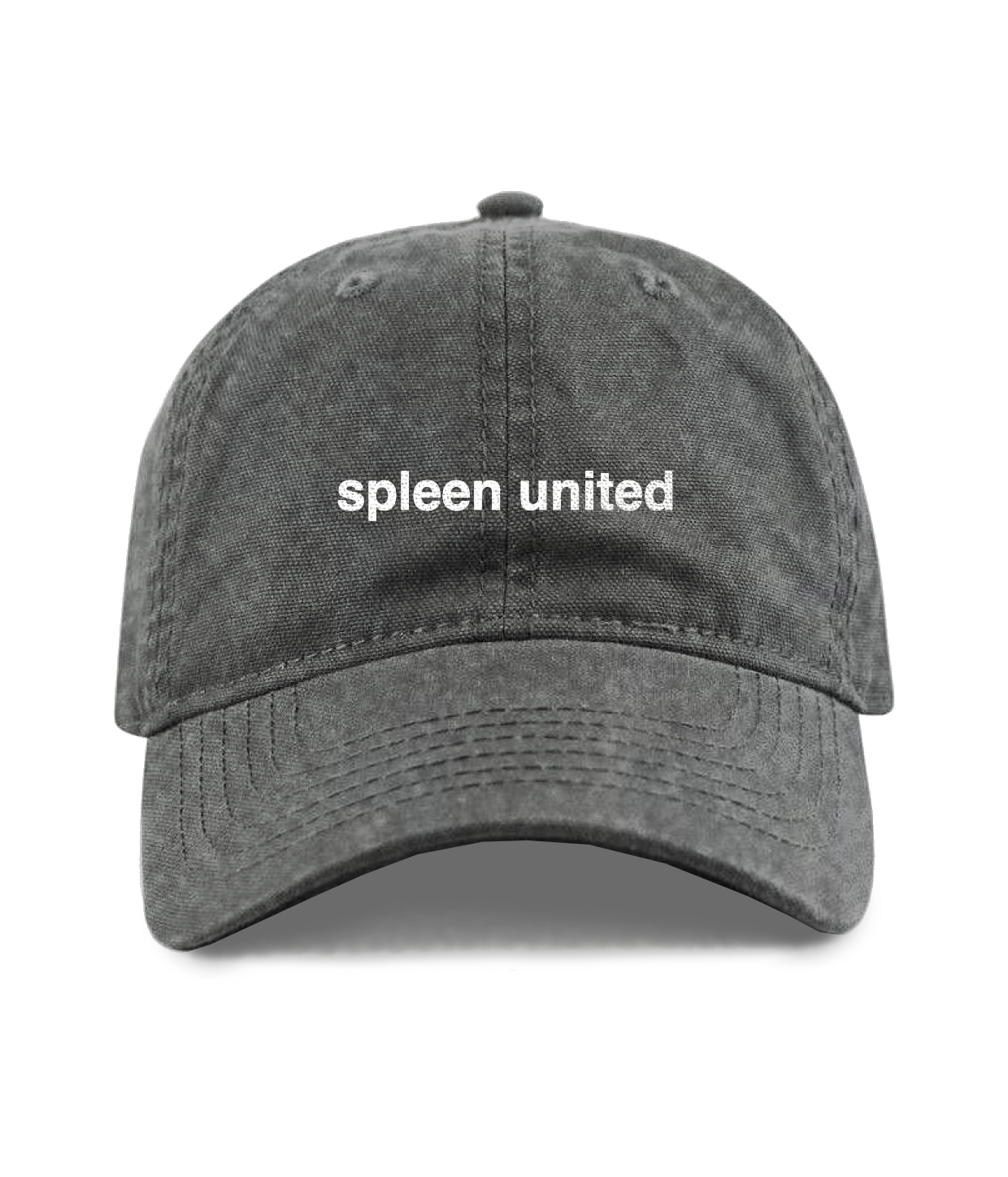 Logo, Vintage Sort Dad Cap