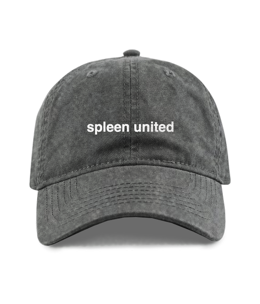 Logo, Vintage Sort Dad Cap