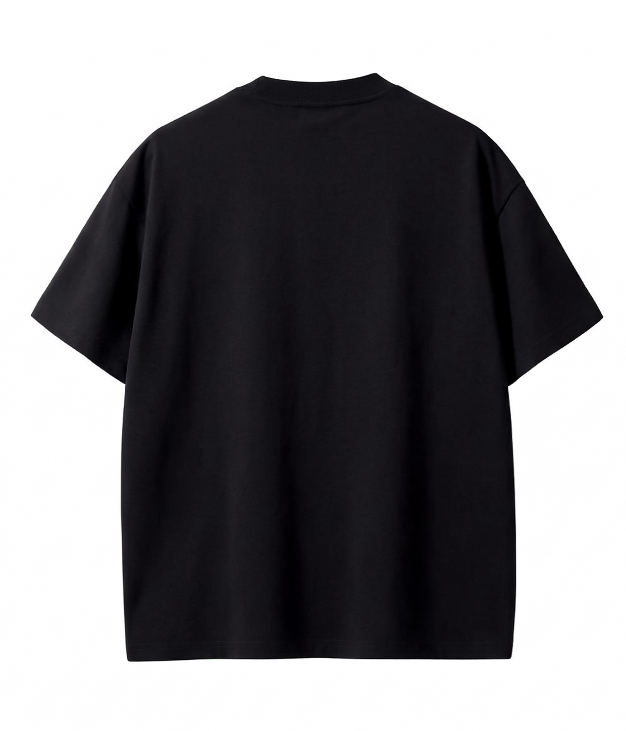 Zar Paulo Globe, T-shirt