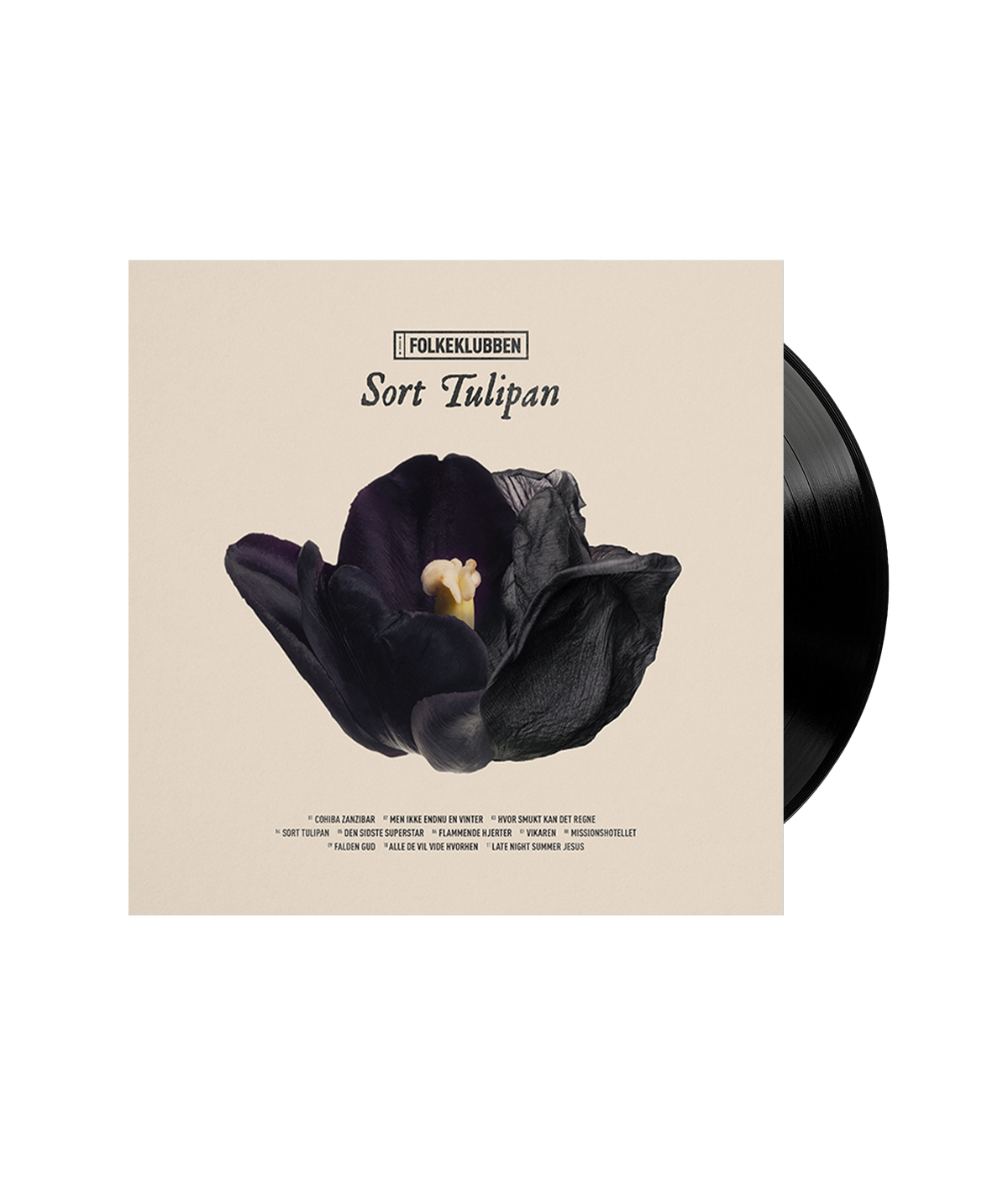 Sort Tulipan, LP